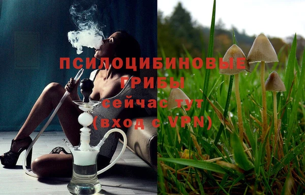 jwh Каменногорск