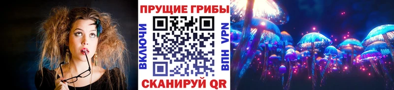 Купить закладки  Гремячинск  Псилоцибиновые грибы мицелий 