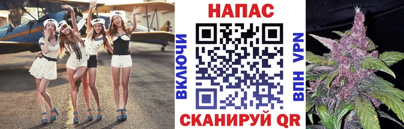 Купить  Гремячинск  Марихуана сатива 